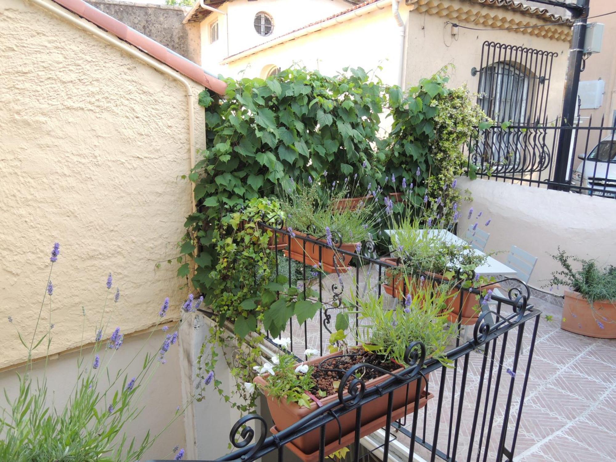 Acci Cannes Old City Δωμάτιο φωτογραφία